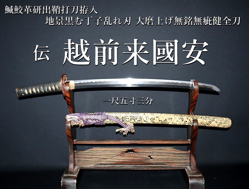 ☆伝 越前来國安 鰄鮫革研出鞘打刀拵入 一尺五寸三分 地景黒む